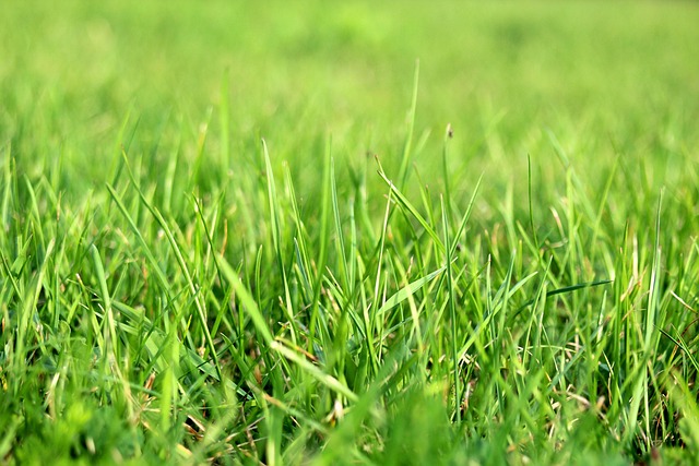 Den perfekte gaveidé: Lækre knive med personligt præg